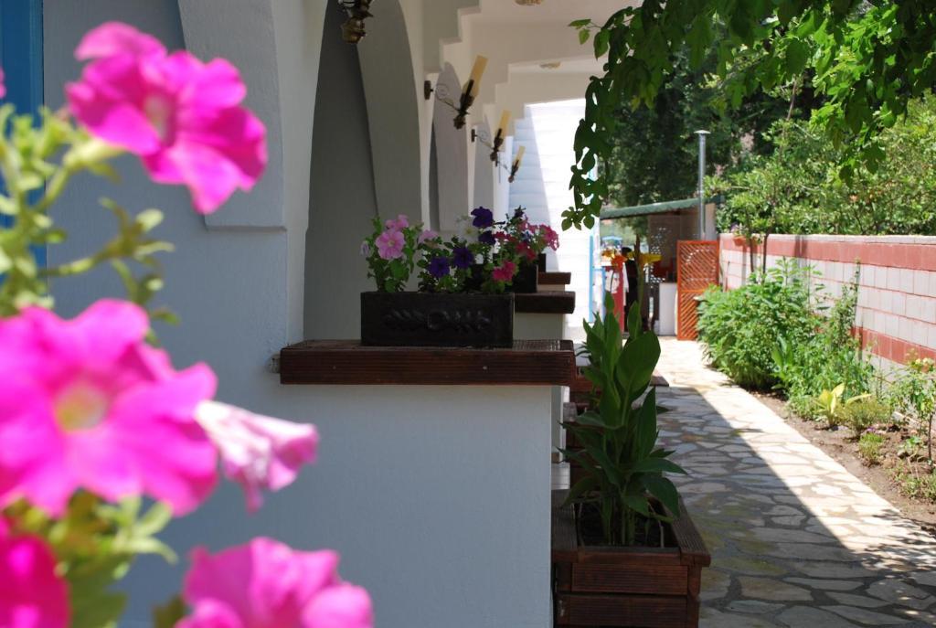 Myra Hotel Dalyan Bagian luar foto